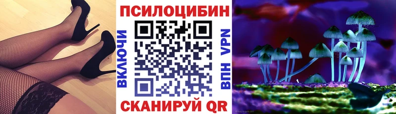 omg tor  Тулун  Галлюциногенные грибы Cubensis 