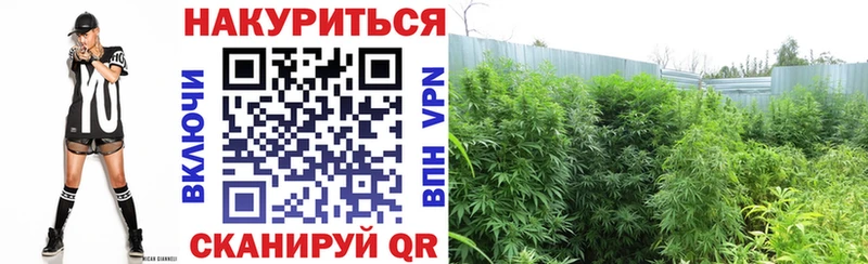 Каннабис ГИДРОПОН Тулун